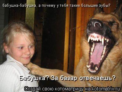 Котоматрица: бабушка-бабушка, а почему у тебя такие большие зубы? Бабушка? За базар отвечаешь?