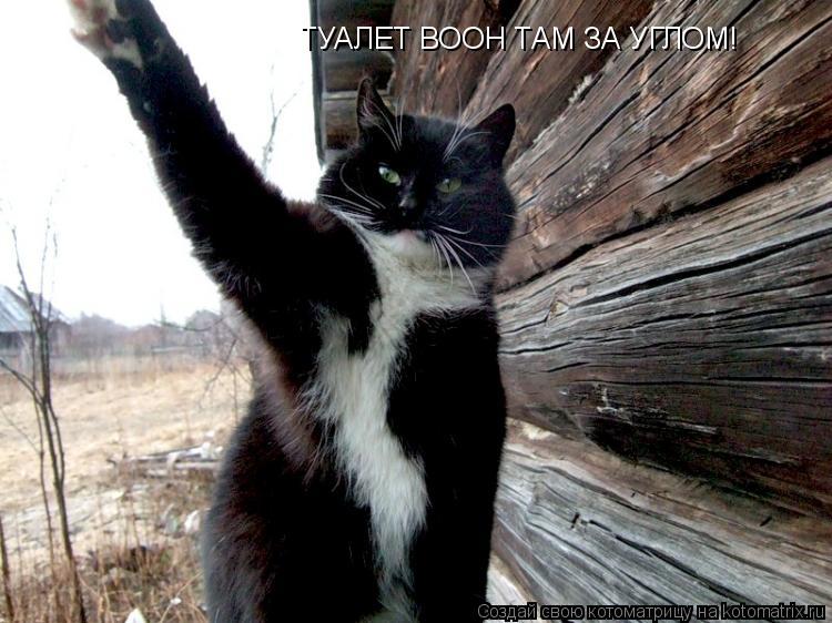 ТУАЛЕТ ВООН ТАМ ЗА УГЛОМ!... Котоматрица: ТУАЛЕТ ВООН ТАМ ЗА УГЛОМ!