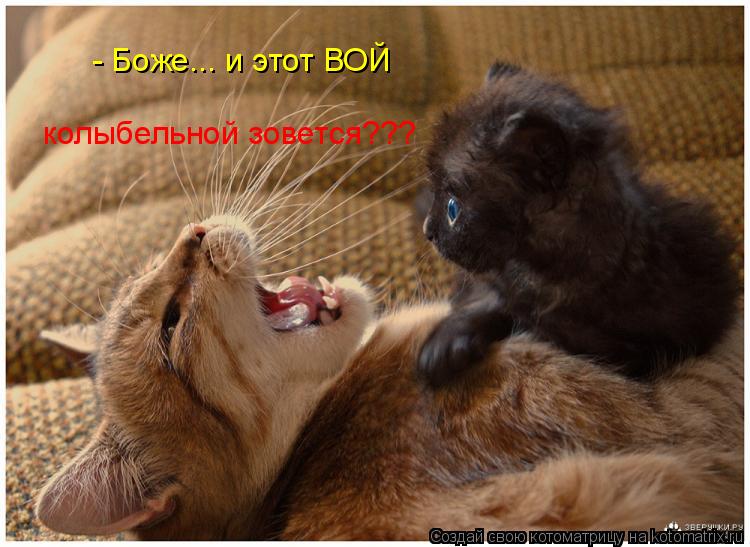 Котоматрица: - Боже... и этот ВОЙ  колыбельной зовется???
