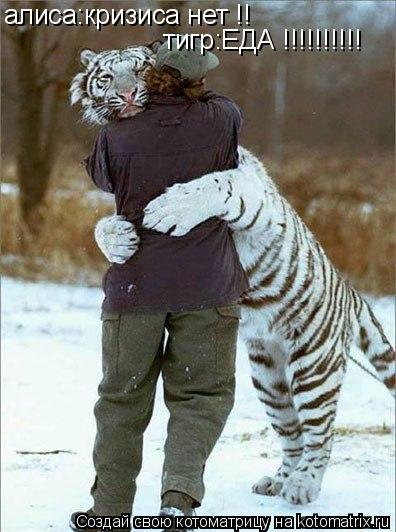 Котоматрица: алиса:кризиса нет !! тигр:ЕДА !!!!!!!!!!