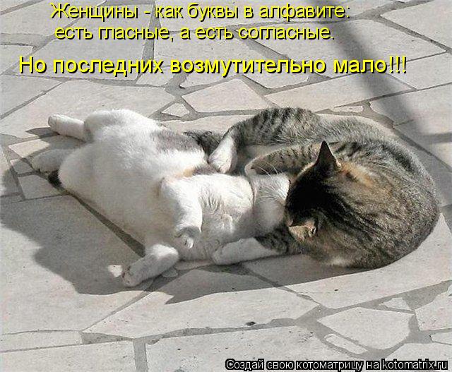 Котоматрица: Женщины - как буквы в алфавите: есть гласные, а есть согласные. Но последних возмутительно мало!!!