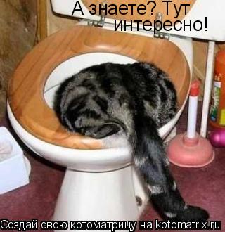 Котоматрица: А знаете? Тут  интересно!