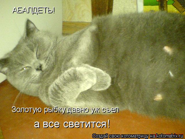 Котоматрица: АБАЛДЕТЬ! Золотую рыбку давно уж съел а все светится!