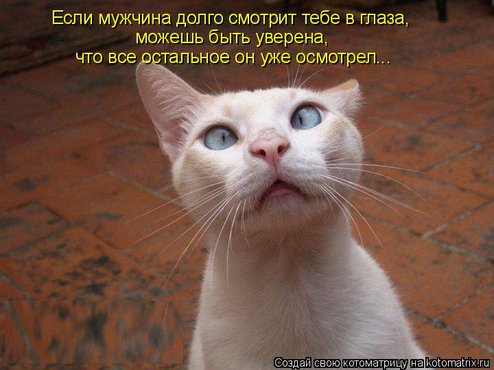 Котоматрица: Если мужчина долго смотрит тебе в глаза, можешь быть уверена, что все остальное он уже осмотрел...