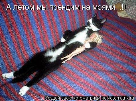 Котоматрица: А летом мы поендим на моями...!!
