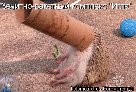 Котоматрица: Зенитно-ракетный комплекс "Игла"