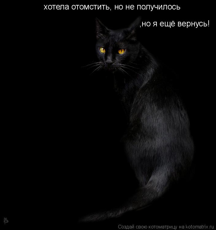 Котоматрица: хотела отомстить, но не получилось   ,но я ещё вернусь!
