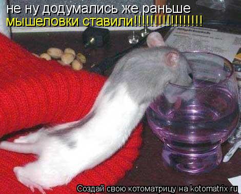 Котоматрица: не ну додумались же,раньше мышеловки ставили!!!!!!!!!!!!!!!!!