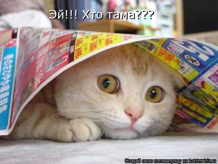 Котоматрица: Эй!!! Хто тама??? Эй!!! Хто тама???