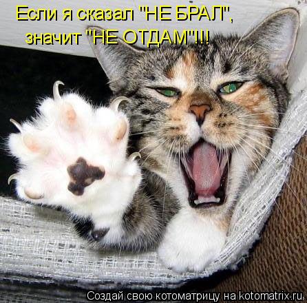 Котоматрица: Если я сказал "НЕ БРАЛ", значит "НЕ ОТДАМ"!!!