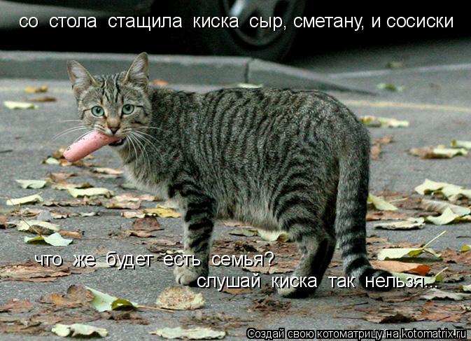 Котоматрица: со  стола  стащила  киска  сыр, сметану, и сосиски что  же  будет  есть  семья? слушай  киска  так  нельзя...