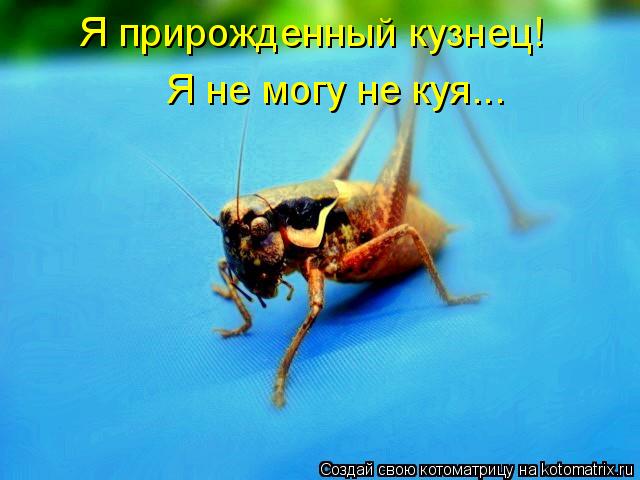 Я прирожденный кузнец! Я не могу не куя...... Котоматрица: Я прирожденный кузнец! Я не могу не куя...