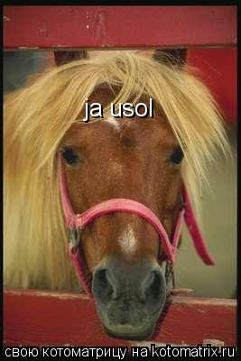 Котоматрица: ja usol