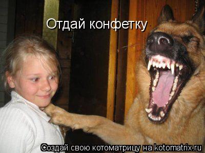 Котоматрица: Отдай конфетку