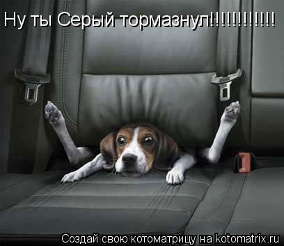 Котоматрица: Ну ты Серый тормазнул!!!!!!!!!!!!