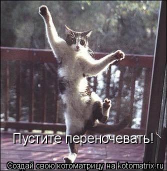 Котоматрица: Пустите переночевать!