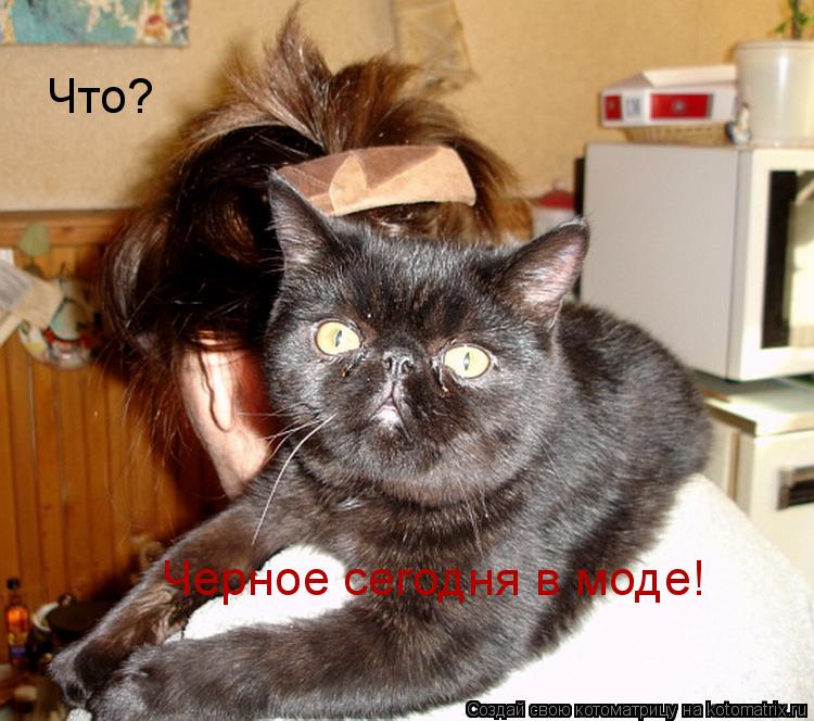 Что? Черное сегодня в моде!... Котоматрица: Что? Черное сегодня в моде!