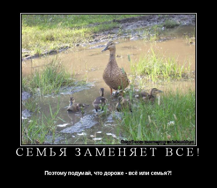 Котоматрица: Семья заменяет всё! Поэтому подумай, что дороже - всё или семья?!