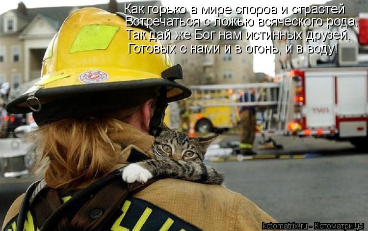 Котоматрица: Как горько в мире споров и страстей Встречаться с ложью всяческого рода. Так дай же Бог нам истинных друзей, Готовых с нами и в огонь, и в вод