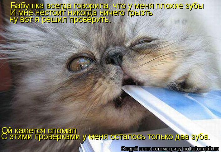 Котоматрица: Бабушка всегда говорила, что у меня плохие зубы И мне нестоит никогда ничего грызть. ну вот я решил проверить. Ой кажется сломал. С этими про