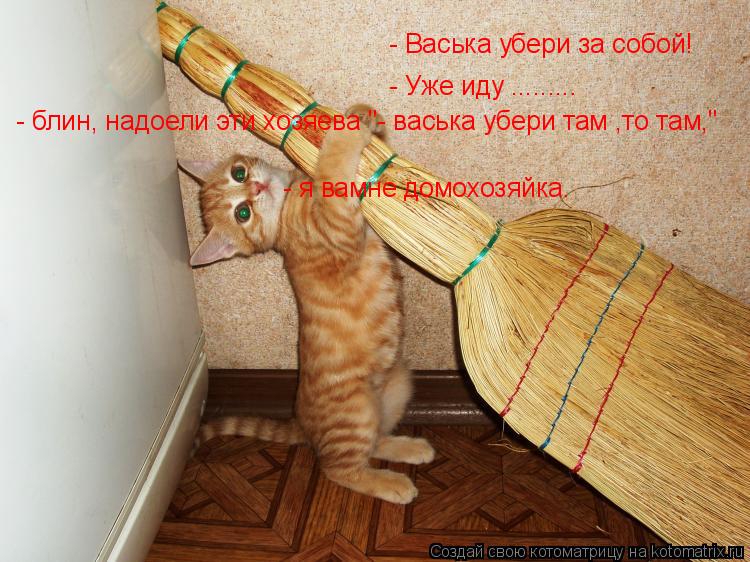 Котоматрица: - Васька убери за собой! - Уже иду ......... - блин, надоели эти хозяева "- васька убери там ,то там," - я вамне домохозяйка.