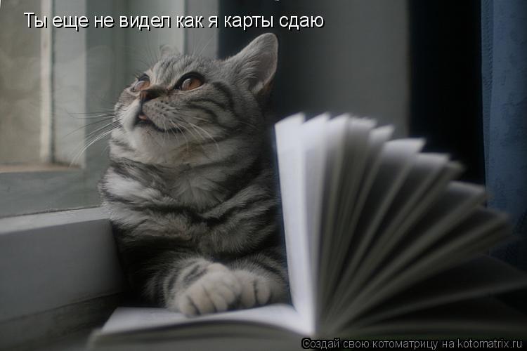Котоматрица: Ты еще не видел как я карты сдаю