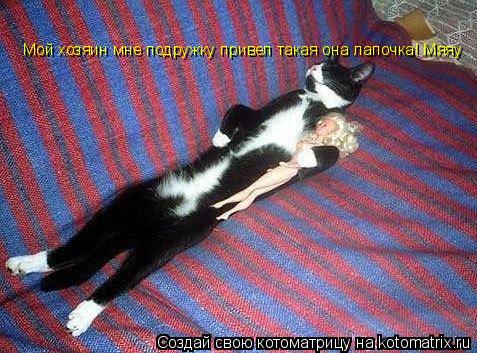Котоматрица: Мой хозяин мне подружку привел такая она лапочка! Мяяу