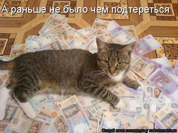Котоматрица: А раньше не было чем подтереться