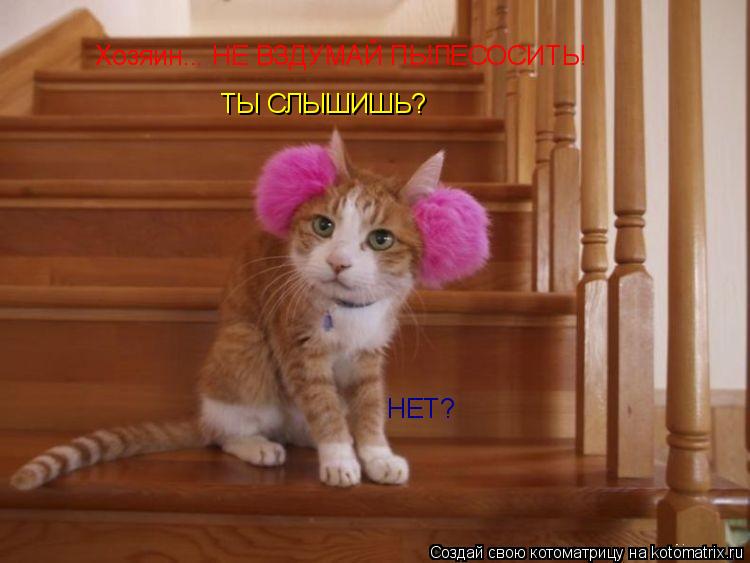 Котоматрица: Хозяин... НЕ ВЗДУМАЙ ПЫЛЕСОСИТЬ! ТЫ СЛЫШИШЬ? НЕТ?