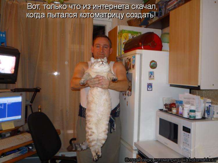 Котоматрица: Вот, только что из интернета скачал,  когда пытался котоматрицу создать!