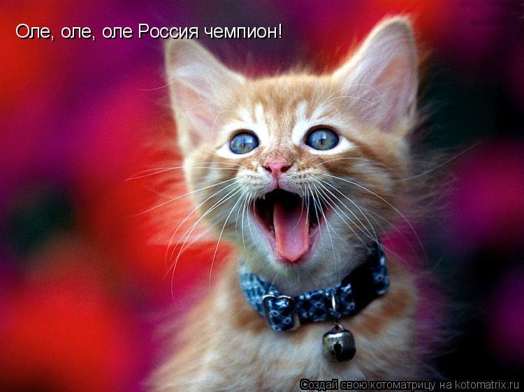 Котоматрица: Оле, оле, оле Россия чемпион!