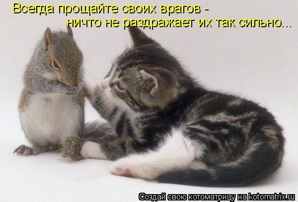 Котоматрица: Всегда прощайте своих врагов - ничто не раздражает их так сильно...