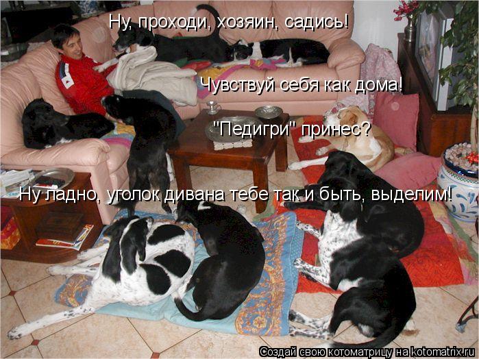 Котоматрица: Ну, проходи, хозяин, садись! Чувствуй себя как дома! "Педигри" принес?  Ну ладно, уголок дивана тебе так и быть, выделим!