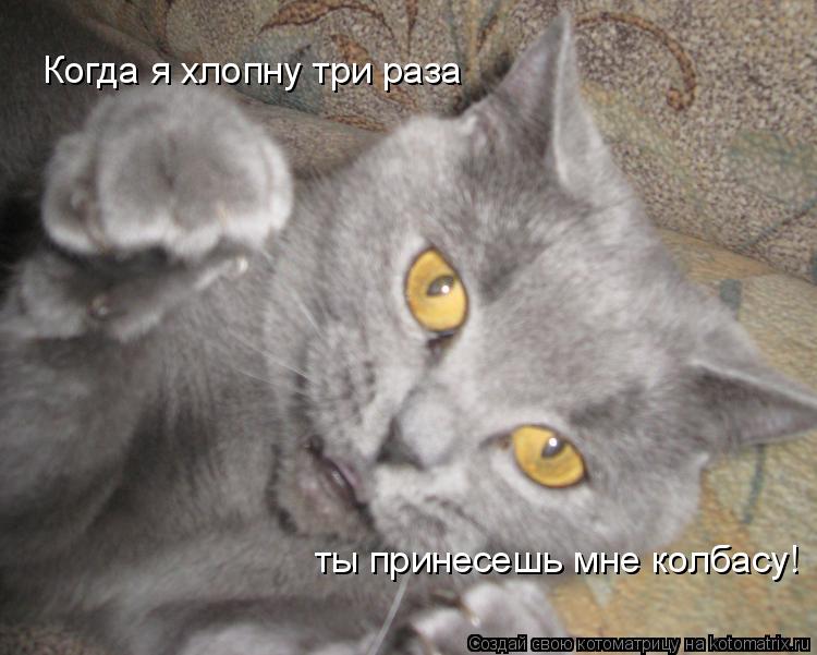 Котоматрица: Когда я хлопну три раза ты принесешь мне колбасу!