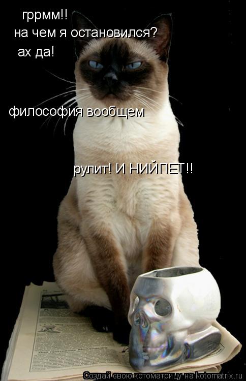 гррмм!! на чем я остановился? ах да! философия вообщем рулит! И НИЙПЕТ!!... Котоматрица: гррмм!! на чем я остановился? ах да! философия вообщем рулит! И НИЙПЕТ!!