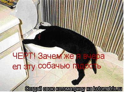 Котоматрица: ЧЕРТ! Зачем же я вчера ел эту собачью гадость