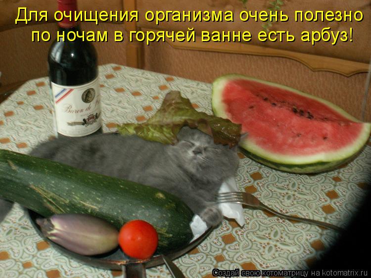 Котоматрица: Для очищения организма очень полезно по ночам в горячей ванне есть арбуз!