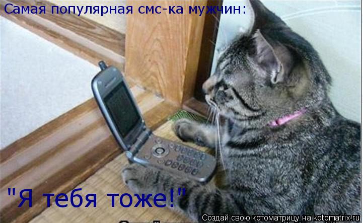 Котоматрица: Самая популярная смс-ка мужчин: "Я тебя тоже!"