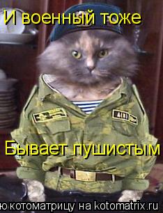 Котоматрица: И военный тоже  Бывает пушистым