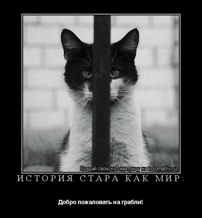 Котоматрица: История стара как мир: Добро пожаловать на грабли!