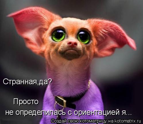 не определилась с ориентацией я... Просто Странная,да?... Котоматрица: не определилась с ориентацией я... Просто Странная,да?