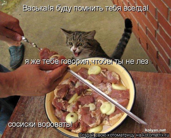 Васька!я буду помнить тебя всегда! я же тебе говорил,чтобы ты не лез сосиски воровать!... Котоматрица: Васька!я буду помнить тебя всегда! я же тебе говорил,чтобы ты не лез сосиски воровать!