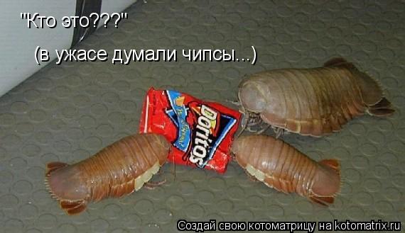 Котоматрица: "Кто это???" (в ужасе думали чипсы...)