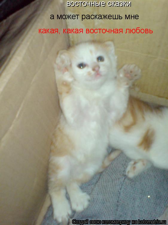 восточные сказки а может раскажешь мне какая, какая восточная любовь... Котоматрица: восточные сказки а может раскажешь мне какая, какая восточная любовь