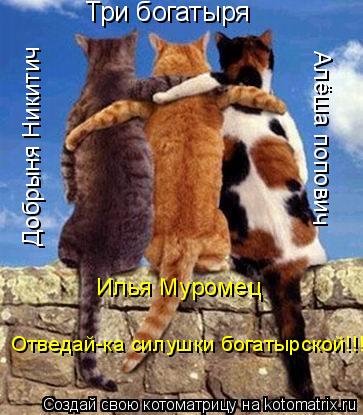 Три богатыря Добрыня Никитич Илья Муромец Алёша попович Отведай-ка силушки богатырской!!!... Котоматрица: Три богатыря Добрыня Никитич Илья Муромец Алёша попович Отведай-ка силушки богатырской!!!