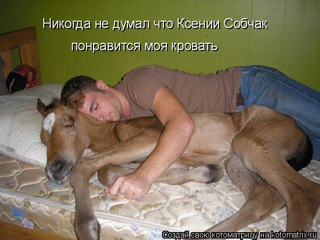 Никогда не думал что Ксении Собчак понравится моя кровать... Котоматрица: Никогда не думал что Ксении Собчак понравится моя кровать