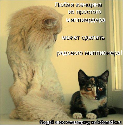 Котоматрица: Любая женщина  из простого  миллиардера  может сделать рядового миллионера!...