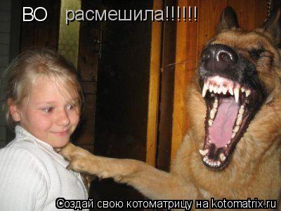 ВО расмешила!!!!!!... Котоматрица: ВО расмешила!!!!!!