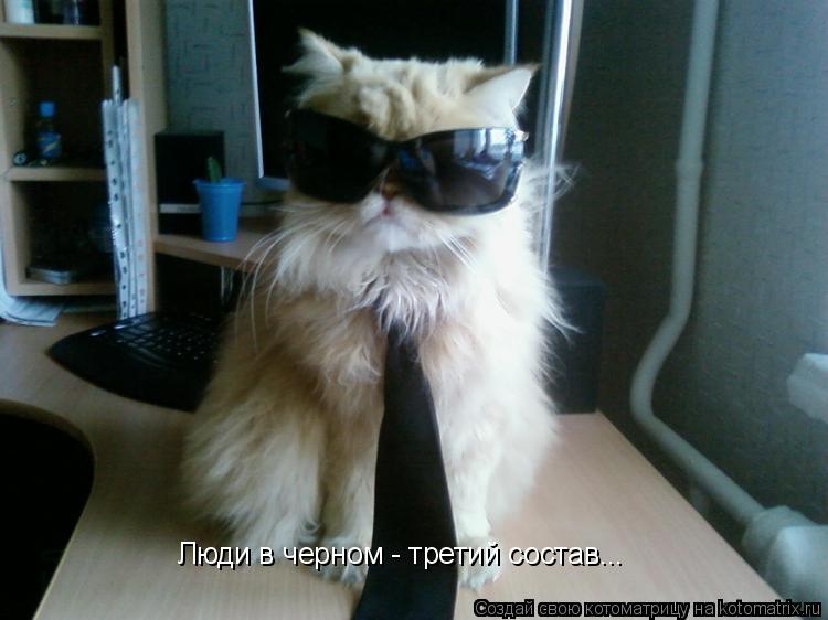 Котоматрица: Люди в черном - третий состав...