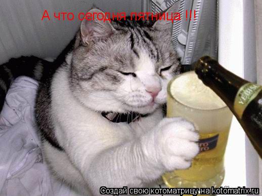 Котоматрица: А что сегодня пятница !!!